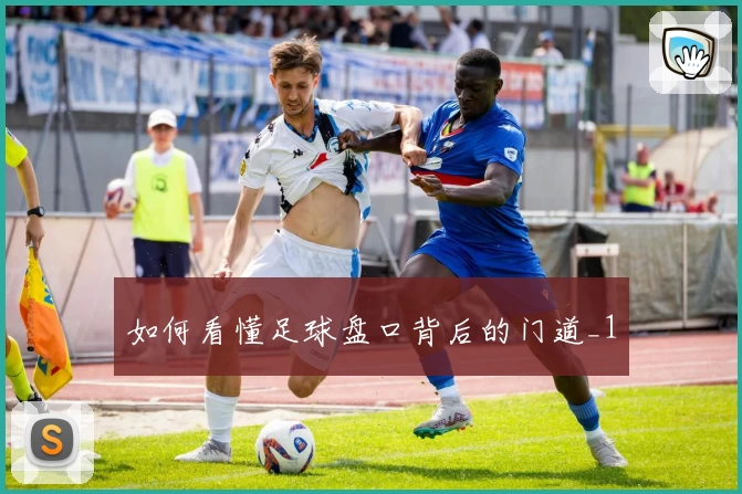 如何看懂足球盘口背后的门道_1