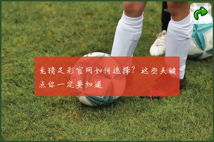 竞猜足彩官网如何选择？这些关键点你一定要知道