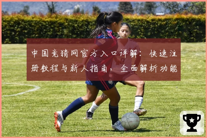 中国竞猜网官方入口详解:快速注册教程与新人指南,全面解析功能亮点与用户体验